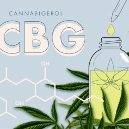 Cannabinoid CBG